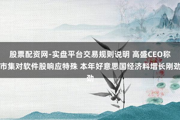 股票配资网-实盘平台交易规则说明 高盛CEO称市集对软件股响应特殊 本年好意思国经济料增长刚劲