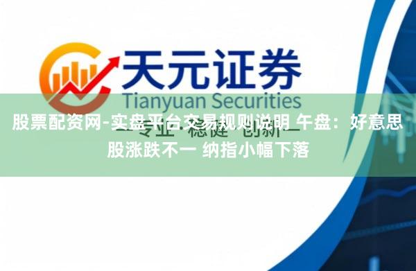 股票配资网-实盘平台交易规则说明 午盘：好意思股涨跌不一 纳指小幅下落