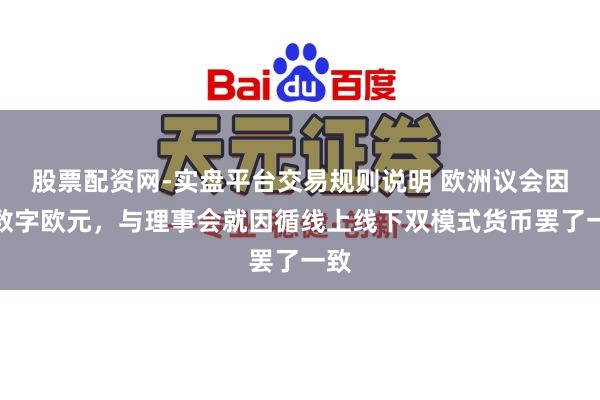 股票配资网-实盘平台交易规则说明 欧洲议会因循数字欧元，与理事会就因循线上线下双模式货币罢了一致