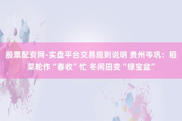 股票配资网-实盘平台交易规则说明 贵州岑巩：稻菜轮作“春收”忙 冬闲田变“绿宝盆”