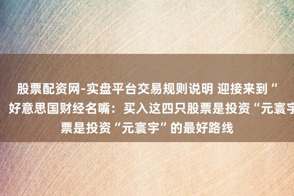 股票配资网-实盘平台交易规则说明 迎接来到“元寰宇”宇宙！好意思国财经名嘴：买入这四只股票是投资“元寰宇”的最好路线