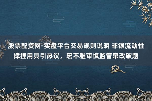 股票配资网-实盘平台交易规则说明 非银流动性撑捏用具引热议，宏不雅审慎监管窜改破题