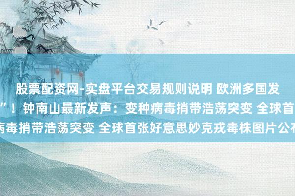 股票配资网-实盘平台交易规则说明 欧洲多国发现“好意思妙克戎毒株”！钟南山最新发声：变种病毒捎带浩荡突变 全球首张好意思妙克戎毒株图片公布